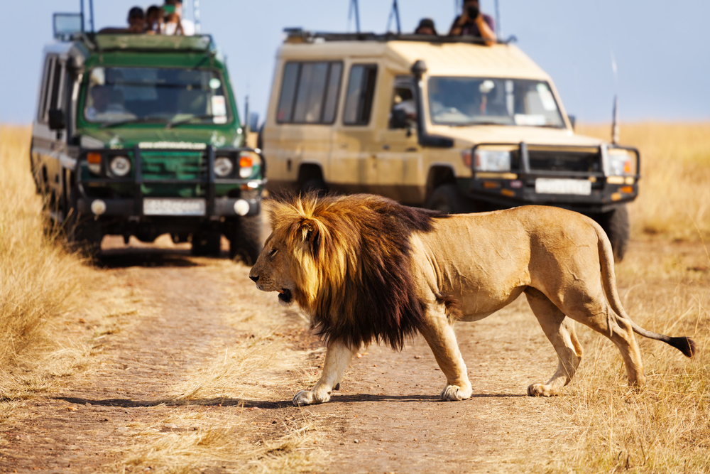 human-wildlife-interactions-wur